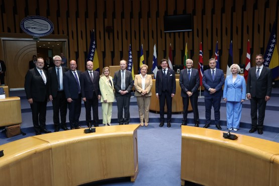 Članovi kolegija oba doma PSBiH razgovarali sa predsjednicima i potpredsjednicima parlamenata osam nordijskih i baltičkih zemalja (NB8)